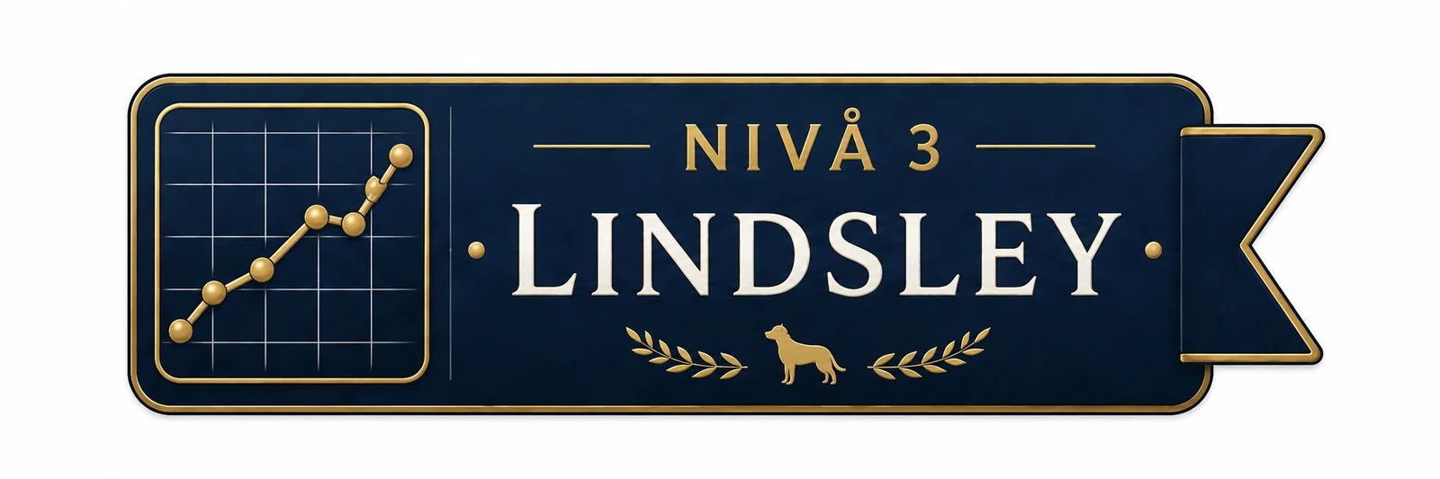 Nivå 3 – Lindsley