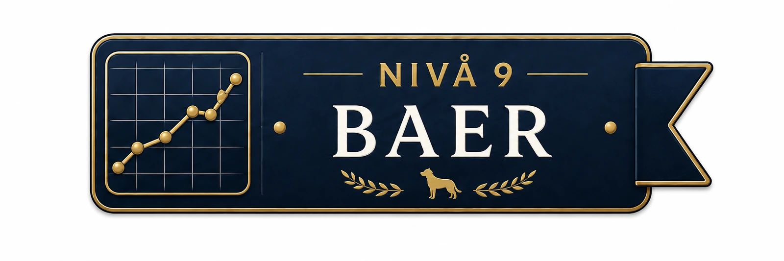 Nivå 9 – Baer