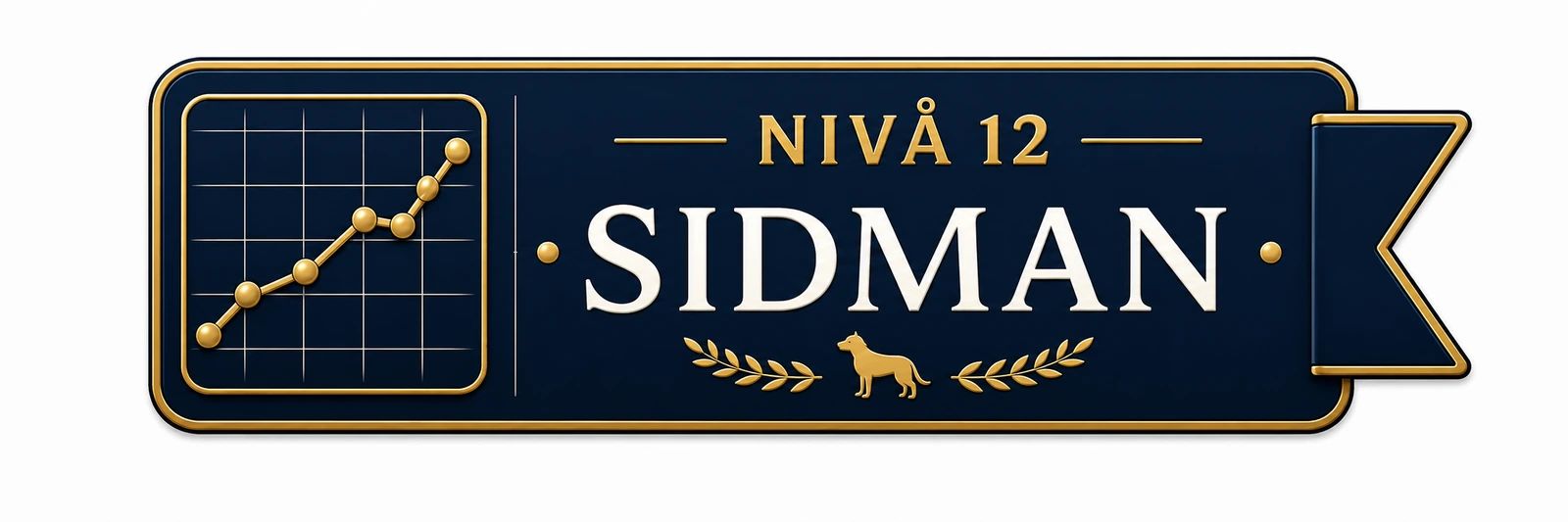 Nivå 12 – Sidman
