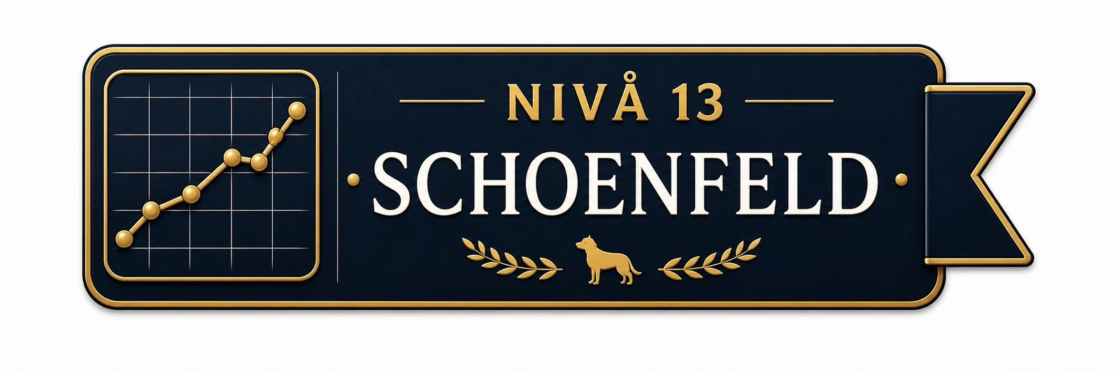 Nivå 13 – Schoenfeld