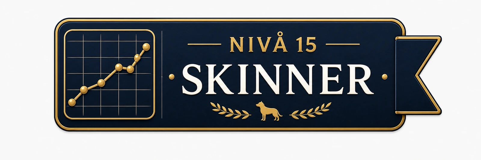 Nivå 15 – Skinner